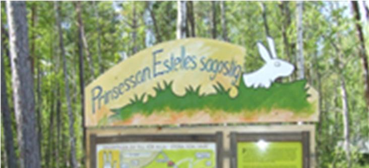 Resorna har som regel startat vid FV-museum där det finns gott om plats för att parkera egna bilar.