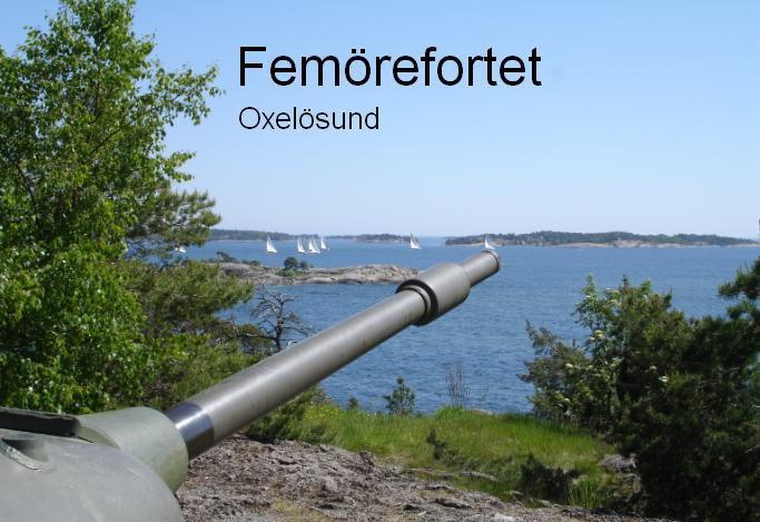 Kulinarisk resa på Vikbolandet Förmiddagskaffe med ostfralla/smörgås på Zara Leanders Museum., även besök på museet.