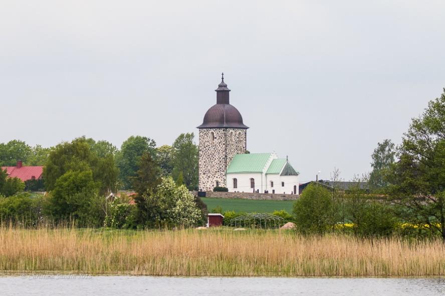 Däremot fick vi höra ett annat karaktäristiskt ljud från vattenrallen. Likt rördrommen ville denna fågel inte på några villkor visa sig.