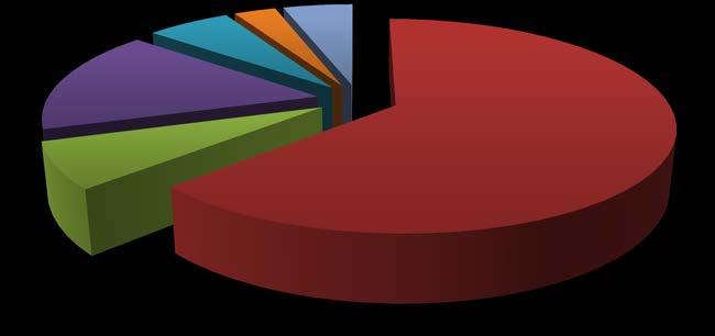 verksamhet 2% Pedagogisk verksamhet 41% Vård