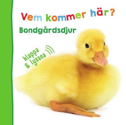 kommer här?