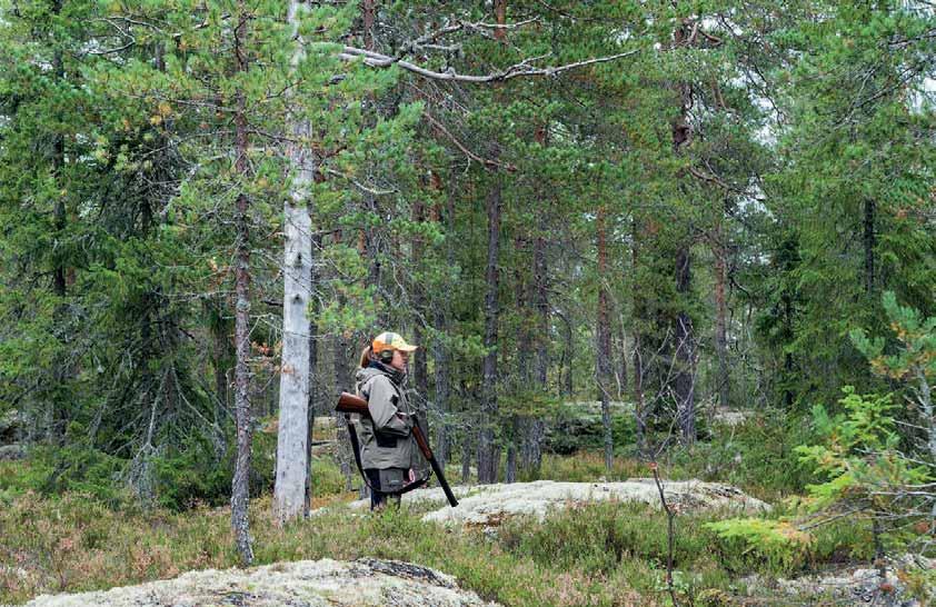 Att certifiera sin skogsfastighet genom Rundvirke Skog Genom att låta Rundvirke Skog hjälpa dig att skaffa ditt bevis för ett hållbart skogsbruk, så deltar du i Prosilvas certifikat.