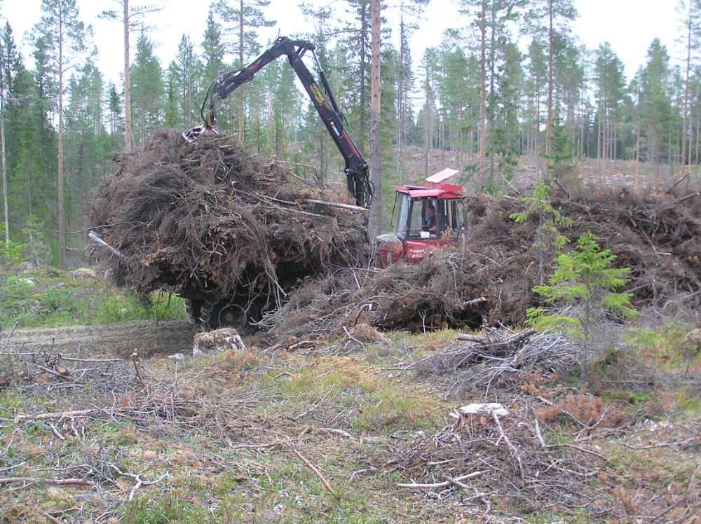 Våra biobränsleprodukter Skogsbränsle är kärnan i biobränsleverksamheten Stubbar Övrigt