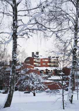 24 Ortsanalys Sandviken och Högbo Historik och beskrivning av orten Bakgrund Sandviken har utvecklats i symbios med företaget Sandvik AB.