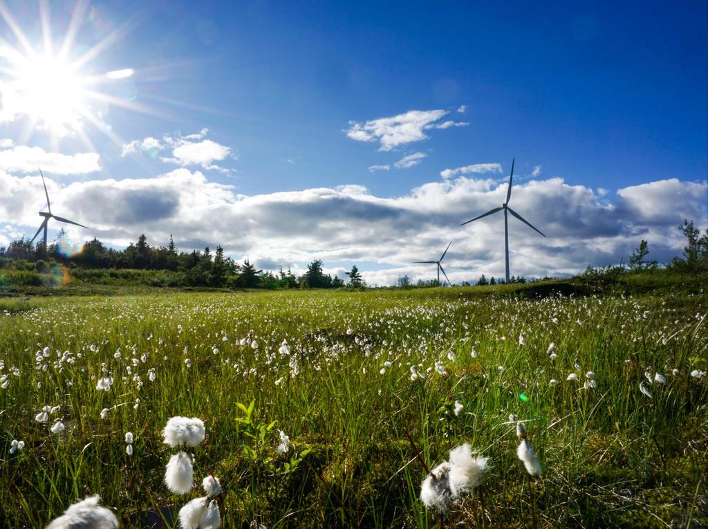 Projektportfölj - Projekteringsverksamheten Första steget mot en lyckad etablering är en noggrann analys av förutsättningarna för vindkraft.