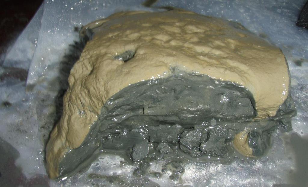 2, Sediment från provpunkt S12 (Ekmanhuggare).