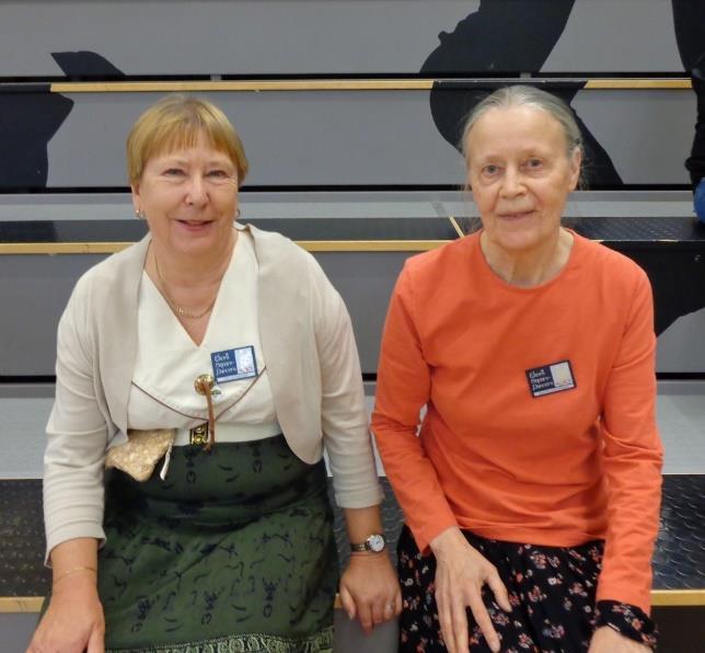 Convention i Linköping 2016 På morgonen den 4 juni steg vi på snabbtåget till Linköping för att vara med på convention som Blue Ribbon Squares anordnade för 3:e gången.