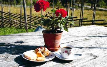 Garanterat rogivande och avkopplande. Här finns en del djur att titta och klappa på. Fäbodvallscafé med den typiska Ovanåkerssmörgåsen och annat smått och gott allt är hembakt!