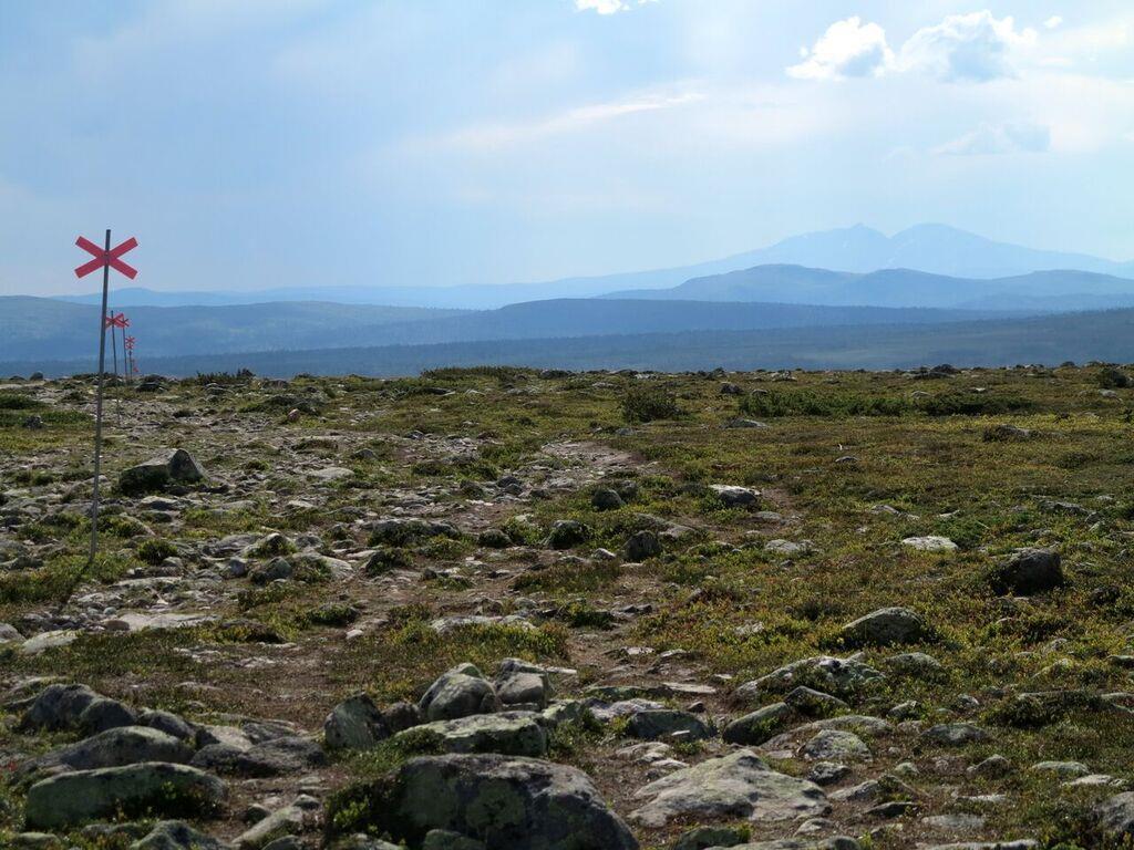 VISION Värdegrund Leva värdegrunden Kommunicera