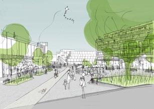 En stor befintlig ek i området planeras att flyttas till det framtida torget, och tillsammans med andra träd samt planteringar dela in torgytan i mindre rumsligheter och ge lä, skugga och grönska.