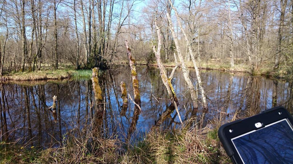 A15-Fluviala processer