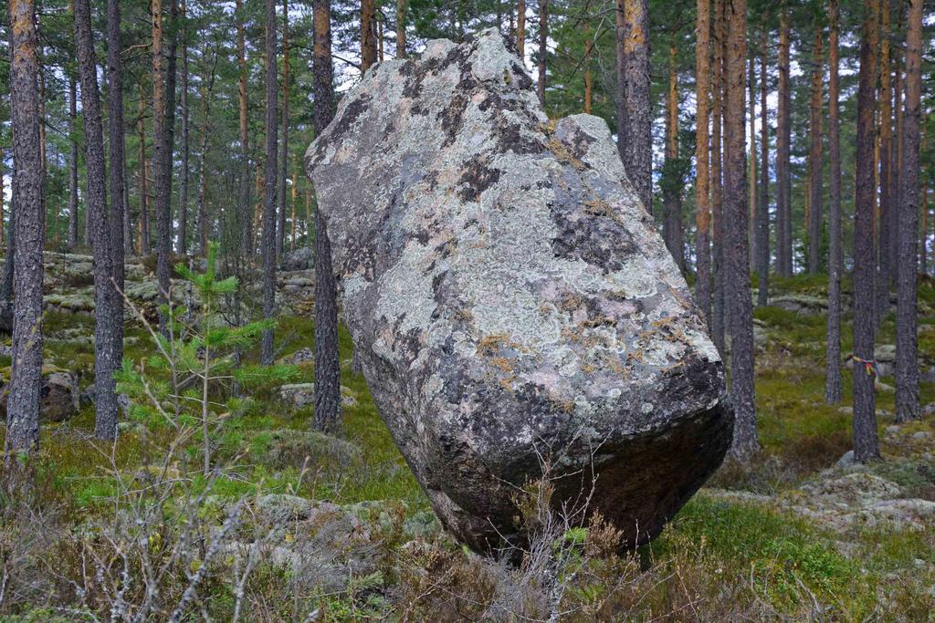 Hultsfred Östra Årena 1:9 del av Upplysningar: Skog & Lantbruk Johan Samuelsson, Skogsingenjör/reg. Fastighetsmäklare.