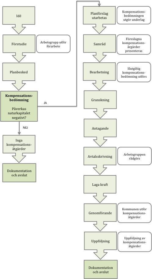 Figur 11: Inkludering av planering, utförande och dokumentation av kompensationsåtgärder i detaljplaneprocessen när exploatering