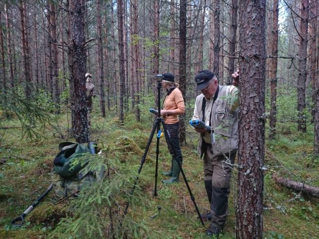 Utvärdering av SLU:s miljöanalysprogram SKOG marknadsför och informerar om sin verksamhet samtidigt som koordinatorerna har möjlighet att lyfta verksamheterna än mer.