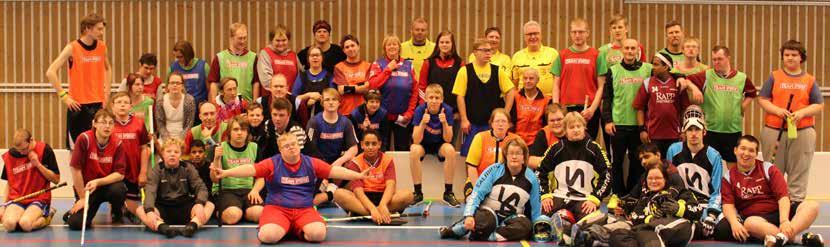 Fokusområde 2: En effektiv organisation för Parasport Hur ska vi vara organiserade på bästa sätt för att skapa bästa möjliga förutsättningar för personer med funktionsnedsättning att idrotta och vara