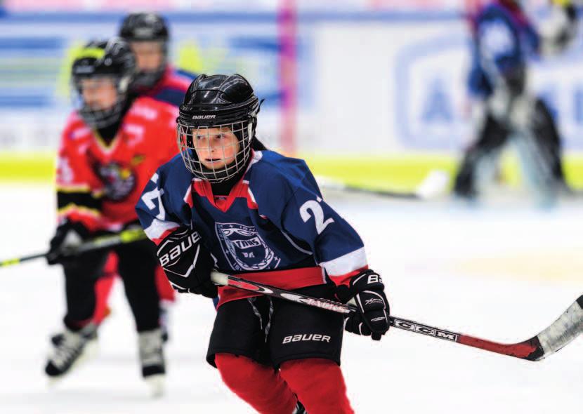 NIF verksamhetsberättelse 2017 3 Ordförande har ordet Foto: Lulefotograferna Undertecknad har sedan ett antal år tillbaka haft den stora förmånen att sitta som ordförande i den gemensamma styrelsen