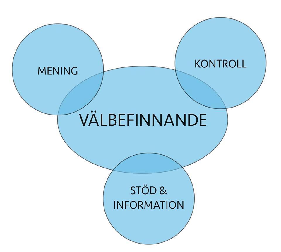 RESULTAT Analysen resulterade i tre huvudkategorier som tillsammans ger välbefinnande genom att patienterna beskriver vad som ger dem välbefinnande vid ALS.