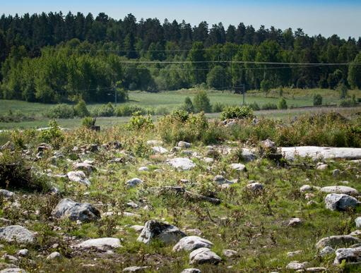 Efter en utvärdering har nu mer djupgående slutundersökningar startat.