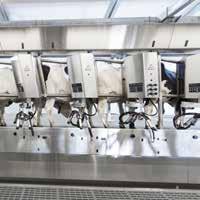 Operator comfort Suspended angled rump-rail gives unobstructed view of the udder resulting in better working environment and operator comfort.