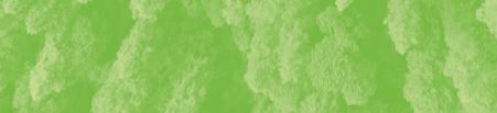 Hur stoppar vi den organiserade bilbrottsligheten? 14:00-14:45 Seminarium Organiserad brottslighet utgör ett hot mot samhället och är en stor utmaning för många branscher.