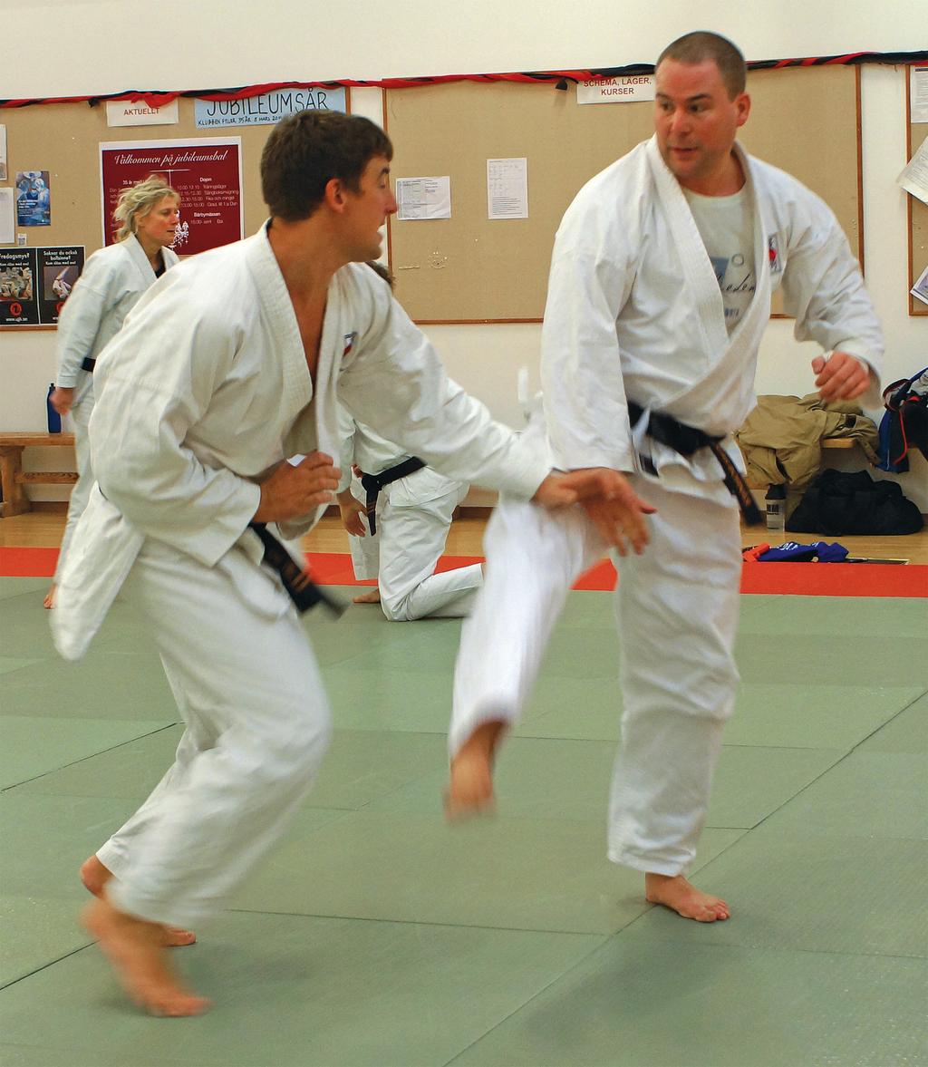 Tidningen Ju-jutsu Kai 1 2014 Svenska Ju-jutsuförbundets medlemstidning.