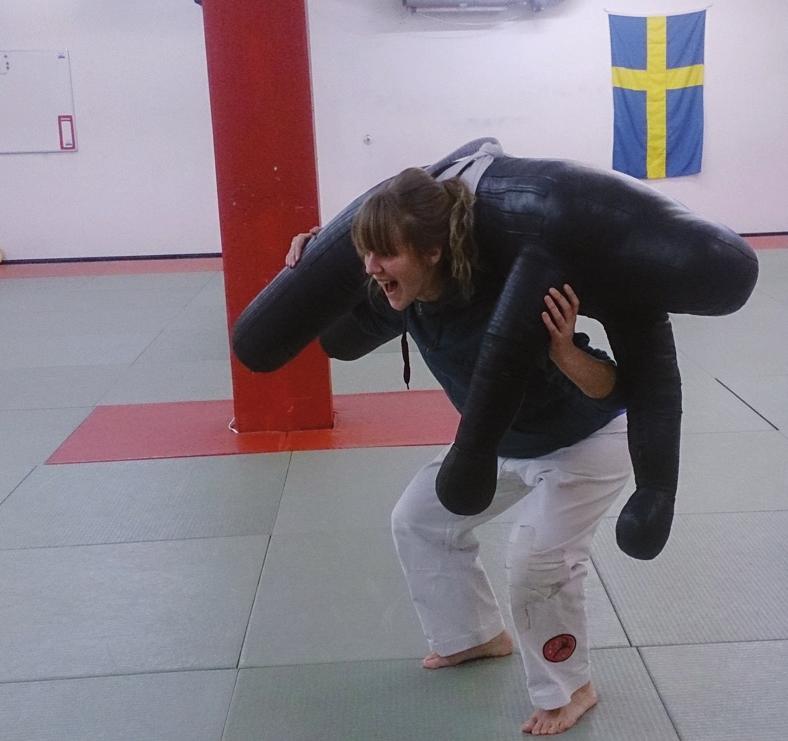 Det hänger krokar i taket för sandsäckar, på väggarna och i taket finns gymräcken för att cirkelträna och i förråden finns bland annat kastdockor i två olika storlekar, nya mitsar, handskar, och en