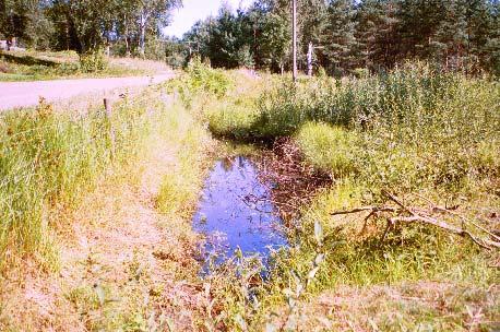 33) Lilla Farsbo 1 Area: 50 m 2 Typ: Kreatursdamm utan nämnvärd vattenvegetation. Omgivning: Barrskog och småbrutet odlingslandskap, till stor del igenplanterat med gran.