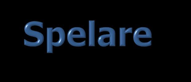 Nolltolerans Rent Spel innebär att regelboken följs strikt. Svordomar och hot mot medspelare, motspelare, domare och publik bestraffas med grov utvisning.