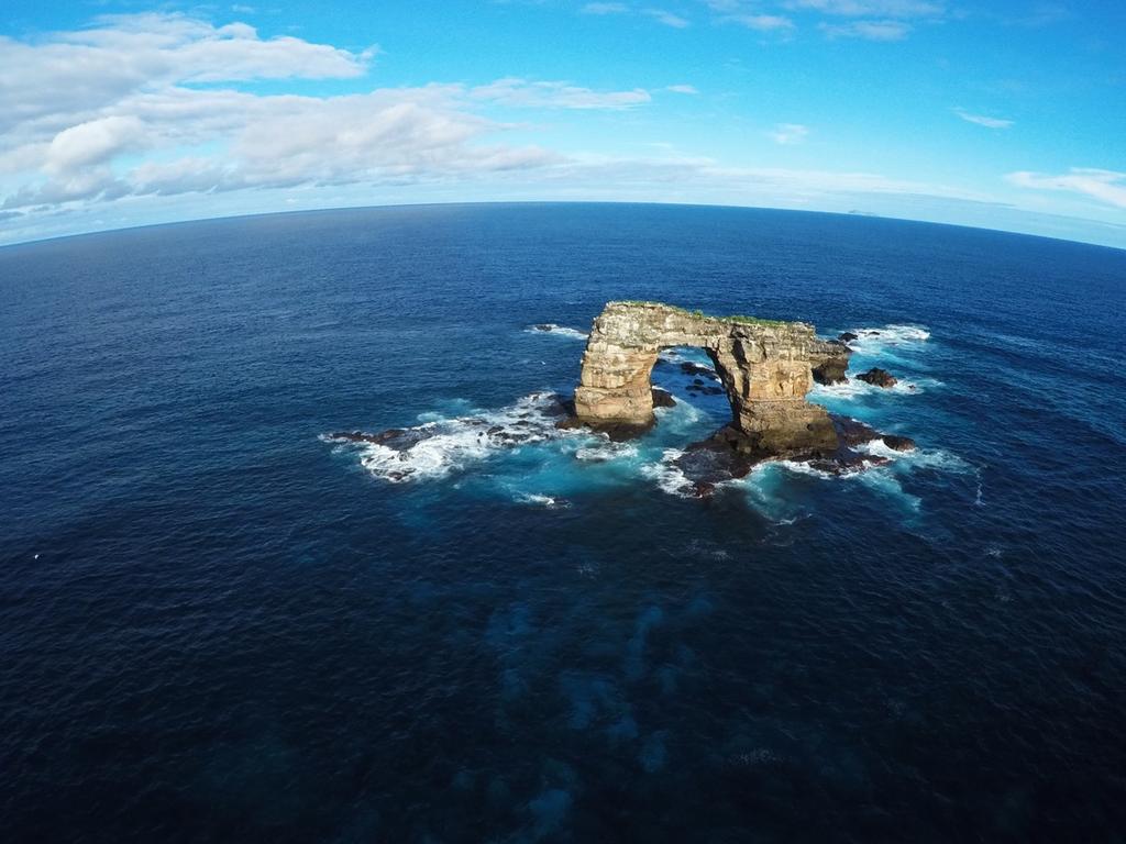 Dykplatser kring Galapagos Isla Lobos, San Cristobal Här finns rikligt med nyfikna sjölejon ungar som kommer fram =ll dig för at leka.