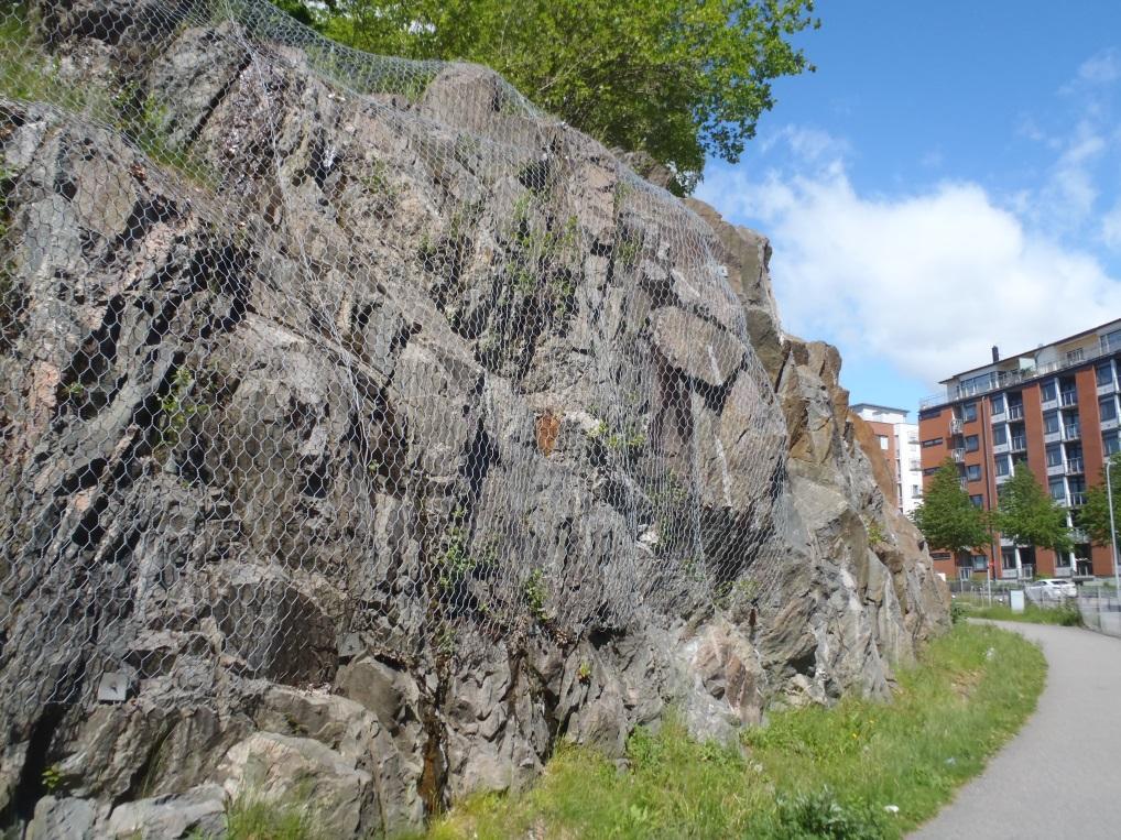Figur 24: Stora delar av bergslänten ut mot Östra Eriksbergsgatan är bultad och nätad.