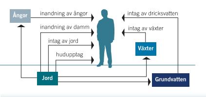 Sida 12 (13) Enkel riskbedömning I Naturvårdsverkets rapport 5976 finns nedanstående konceptuella figur som visar exponeringsvägar för människor som vistas inom det förorenade området.