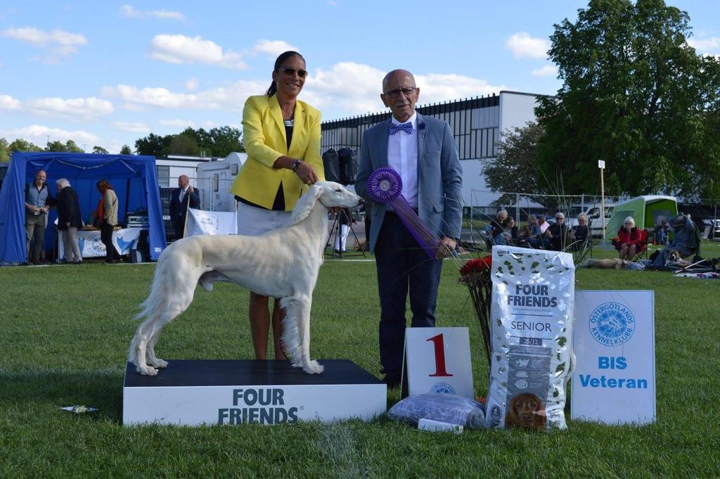 MARTIN CROESER, SYDAFRIKA ÖKK är glada och stolta att kunna hälsa Martin Croeser från Sydafrika mycket varmt välkommen tillbaka till Norrköping Dog Show 18-19 augusti 2018.