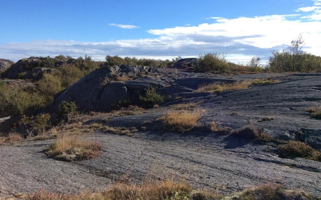 Syftet med utredningen är att undersöka stabiliteten i naturliga slänter, utvärdera risk för radonavgång från berg och jord där bostäder ska byggas samt att ge bergtekniska rekommendationer för