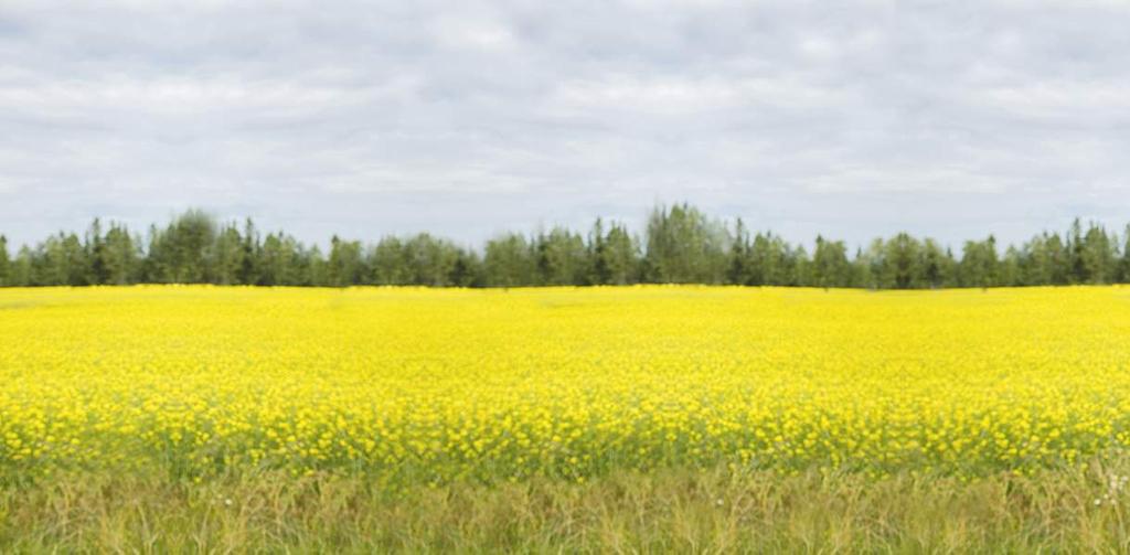 NÖJDA KUNDER Topprodukt Vi valde Ecolator som vår lösning eftersom produkten lämpade sig bäst för vår fastighet.