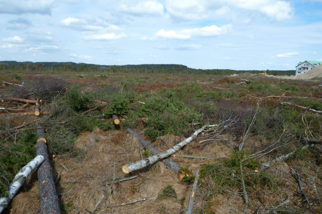 Anmälan av misstänkta miljöbrott på Kollanda mosse i Ale Kommun, Västra Götalands län.