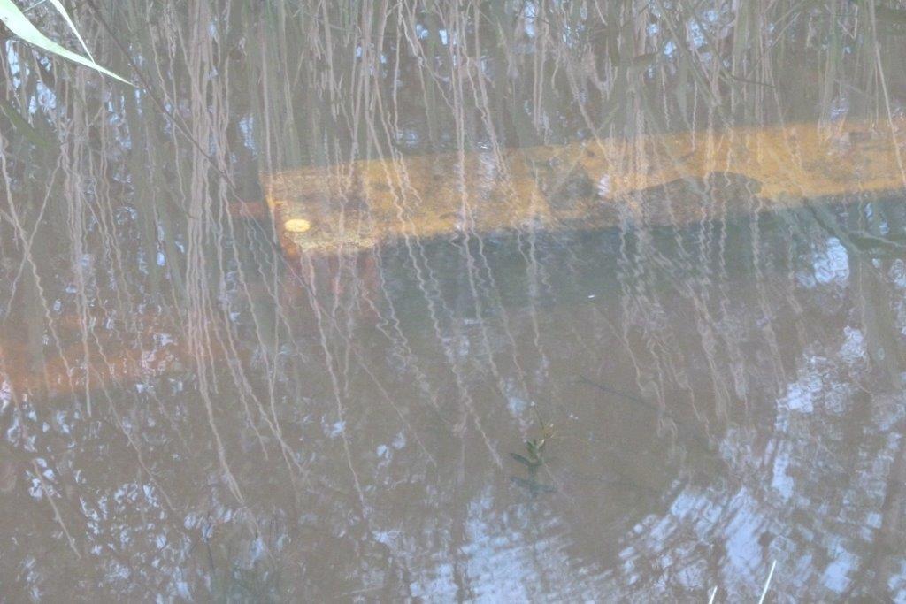 bäcken på östra sidan om företaget Centrumpåle.