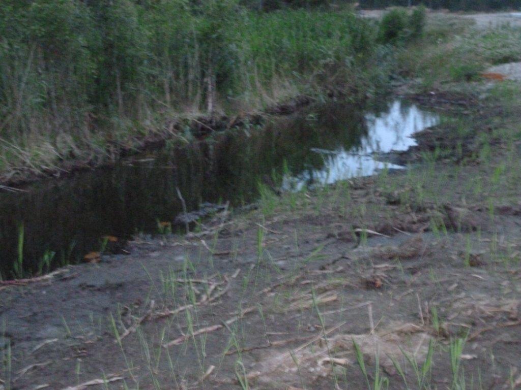 2013-07-16, Noterades att bäcken är fördjupad och muddrad vid