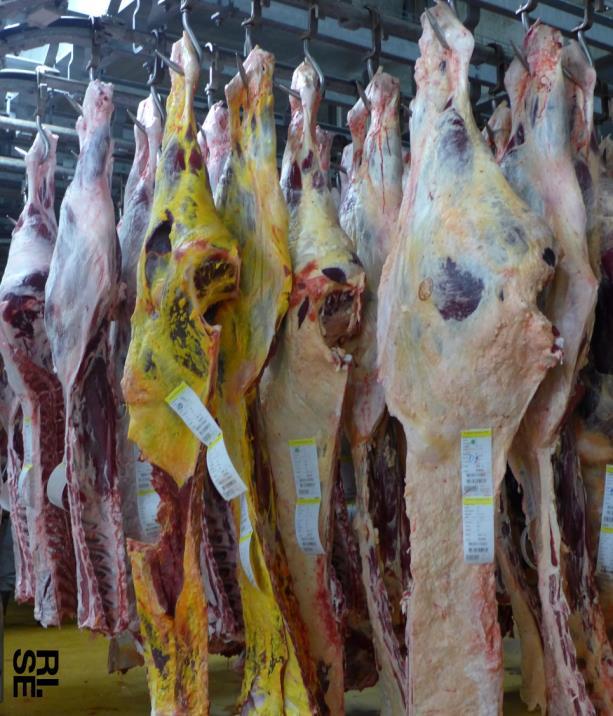 Mäta köttkvalitet efter slakt Vad vill vi mäta?