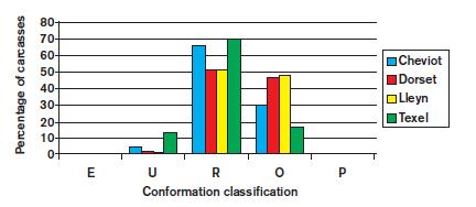 poäng får köttraserna medan lantraserna ligger lägre (se tabell 3 för översättning av poäng till EUROP-skala).