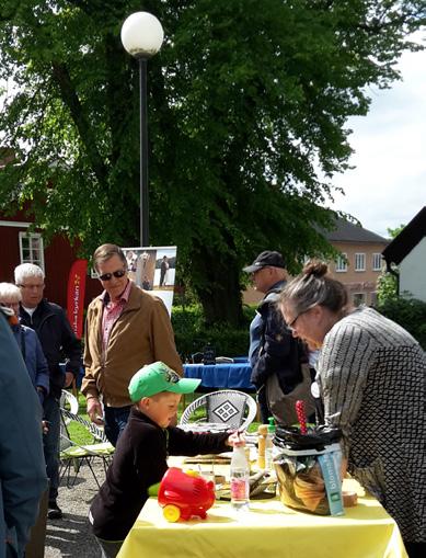 Berätttelsen om Rut har fascinerat mig. Länge. Jag har läst den om och om igen. Det som står skrivet. Och det som inte står skrivet. På både svenska och på hebreiska. Och jag är inte ensam.