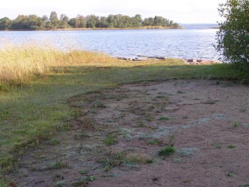 På bergområden dominerar tall och låga enbuskar med ljung och olika lavar som undervegetation. Mellan dessa karga bergområden finns blandskogar av Vaccinum-Myrtrillustyp med bl.a. ask, rönn, björk och al.