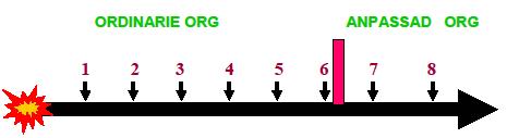 Bilaga 1: Modell för krishantering I denna bilaga finns ett exempel på hur den initiala hanteringen av en kris kan se ut. De olika åtgärderna kan variera beroende på händelse.