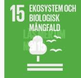 restströmmar. Terpentin Förädlat biobränsle Pellets Briketter och träpulver 102 000 ton pellets 2017.