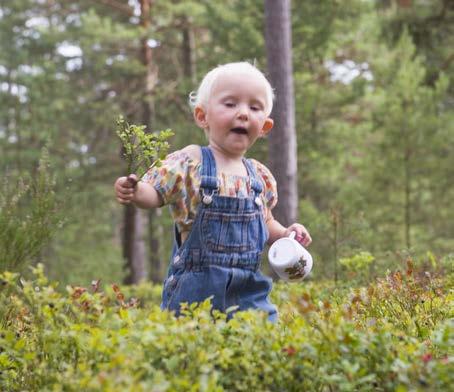 LEVANDE SKOGAR SKOGENS OCH SKOGSMARKENS värde för biologisk produktion ska skyddas samtidigt som den biologiska mångfalden bevaras samt kulturmiljövärden och sociala värden värnas.