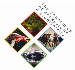 TEEB The economics of ecosystems and biodiversity Leddes av Pavan Sukdhev Interrimrapport presenterades 2008: En årlig investering på 45 miljarder US dollar i skyddade områden skulle säkerställa