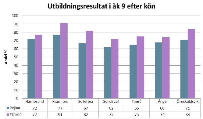 avser kommunal verksamhet uppdelat på kön, etnisk