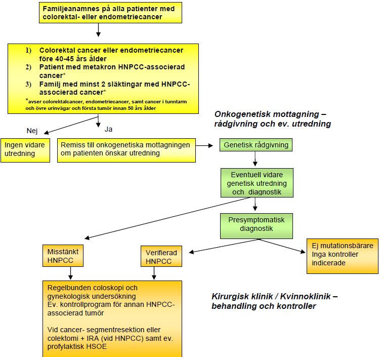 8(31) Figur 1: Algoritm enligt RS Vårdprogram för hereditär cancer(4).