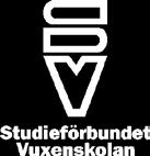 Verksamheten i Studieförbundet Vuxenskolan är indelad i fyra fokusområden: Ungdom (musik och dans) Natur & Kultur