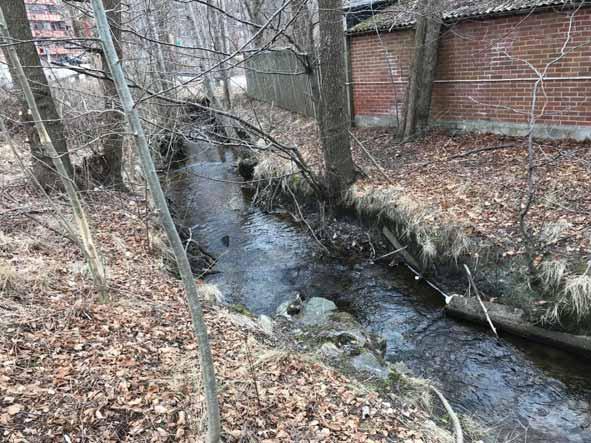 Sträcka 6 Sträckan, som avslutas med två kulvertar som inte bedöms utgöra vandringshinder, är på ca 30 m och karakteriseras av strömmande vatten med ett bottensubstrat av sand, grus och mindre sten