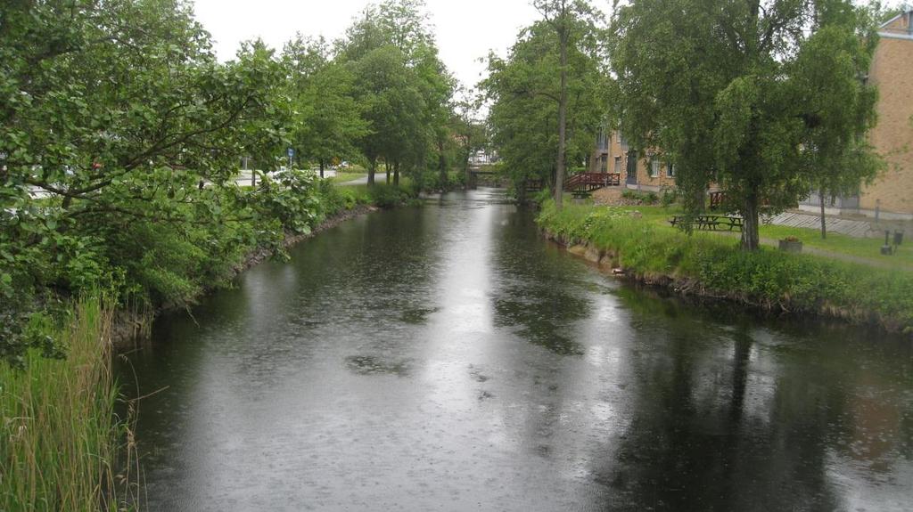 Området uppströms Parkbron består mestadels av bebyggelse och en del grönytor. Längs Mölndalsåns kantområden finns grönytor med gräs, vass och lövträd i trädbården.